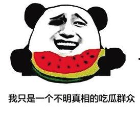 吃瓜群众什么意思网络词语,网络新语“吃瓜群众”背后的社会现象解析